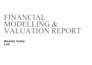 professionally do financial modelling and analysis